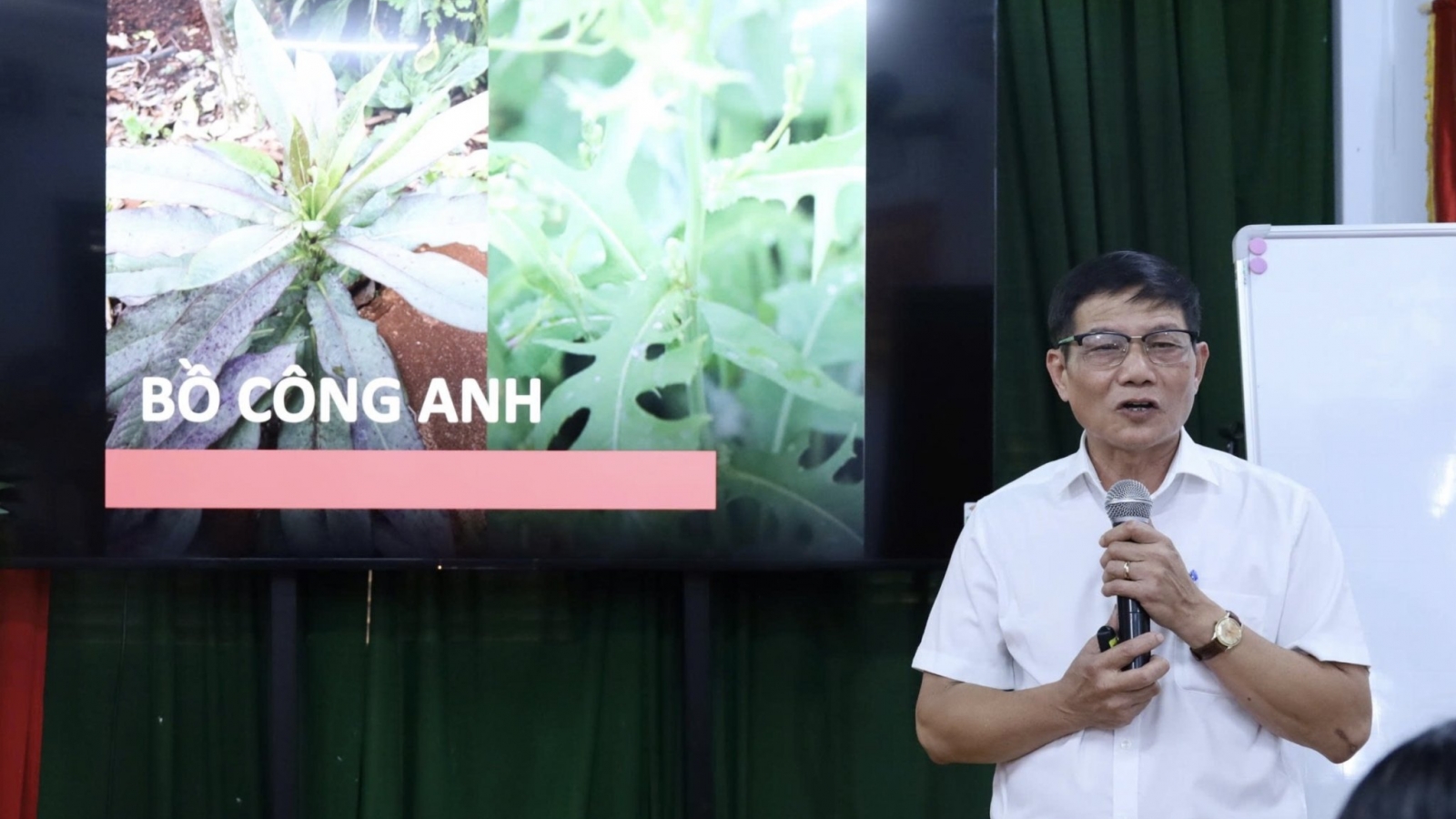 Cây thuốc nam gắn với bảo tồn và sử dụng an toàn dược liệu