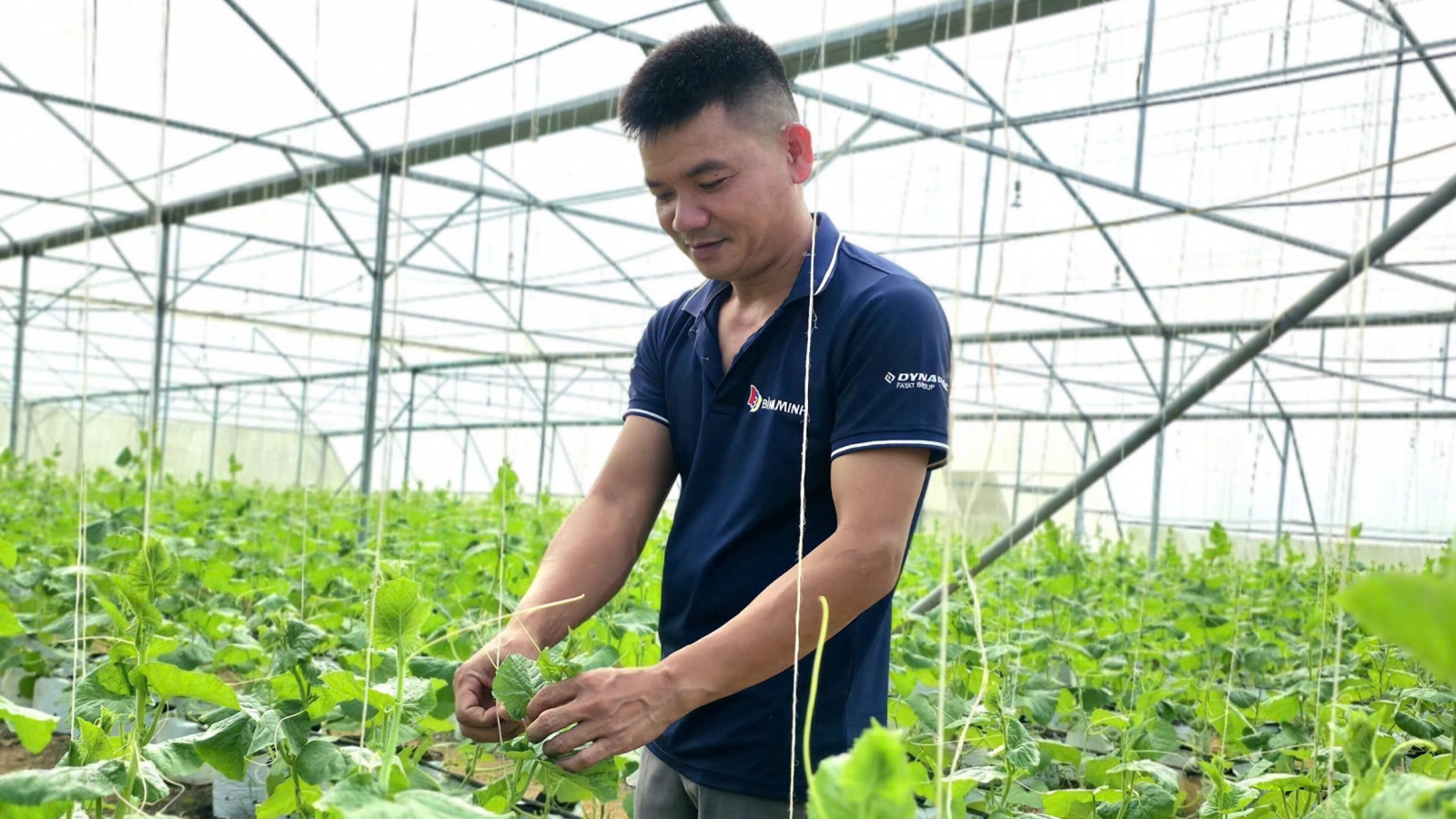 Chàng trai Mường biến triền đồi cằn cỗi thành trang trại dưa vàng tiền tỷ