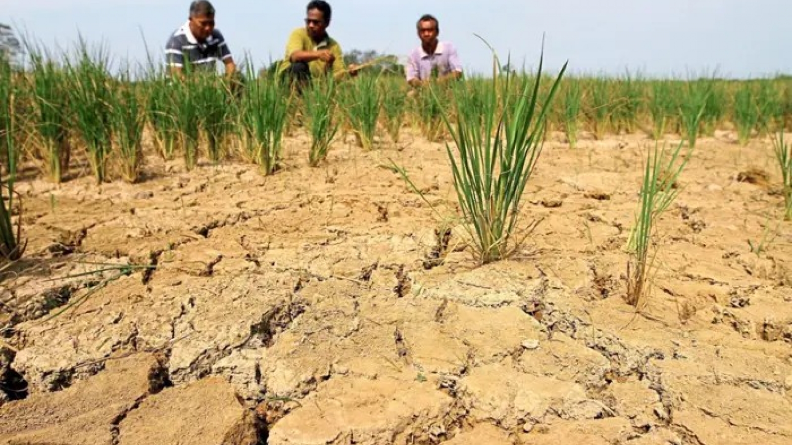 Siêu El Nino có thể đẩy nhiệt độ Malaysia lên mức cao nhất lịch sử