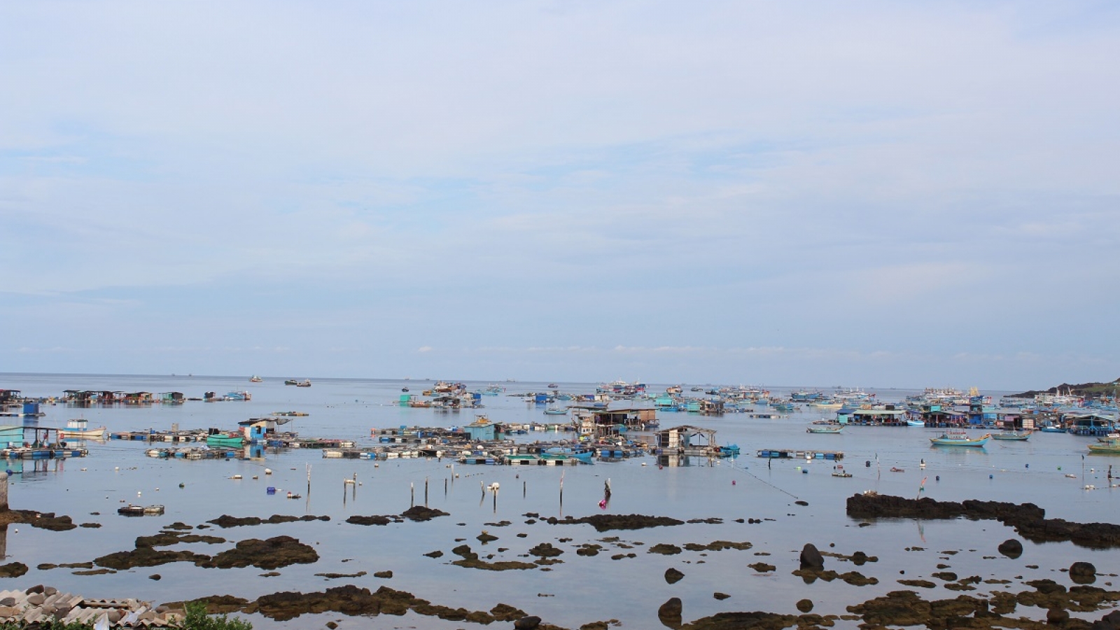 Giao mặt biển để nghề nuôi cá lồng bè trên biển ở Lâm Đồng phát triển bền vững