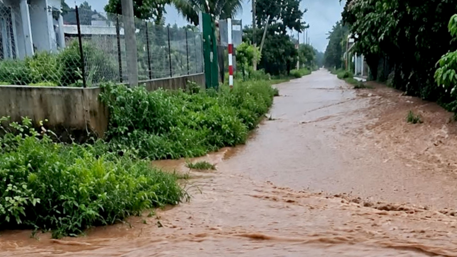 Một số điểm trường tại Đắk Lắk cho học sinh nghỉ học để phòng tránh mưa lũ