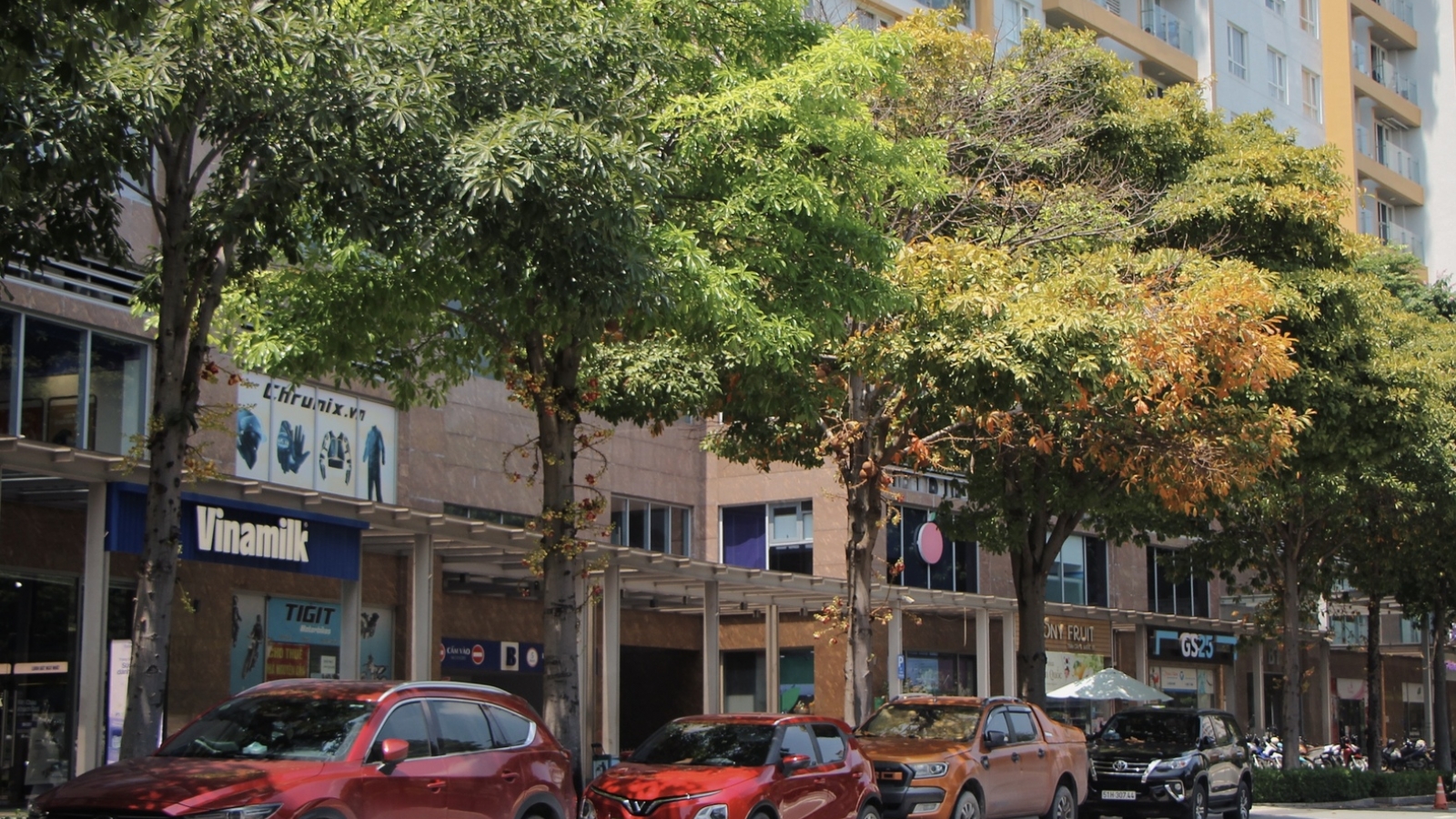 Những sắc màu mùa thu gây thương nhớ ở TP.HCM