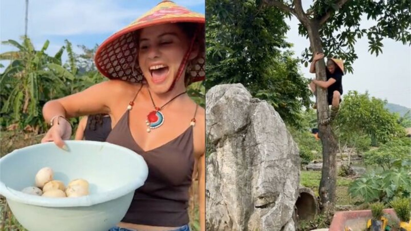 Xem khách Tây nhặt trứng vịt, trèo cây, dân mạng Việt ôn lại "tuổi thơ dữ dội"