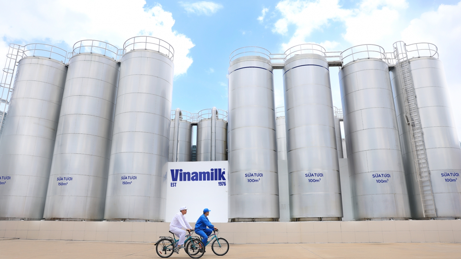 50 năm Vinamilk: Hành trình không ngừng nâng chuẩn