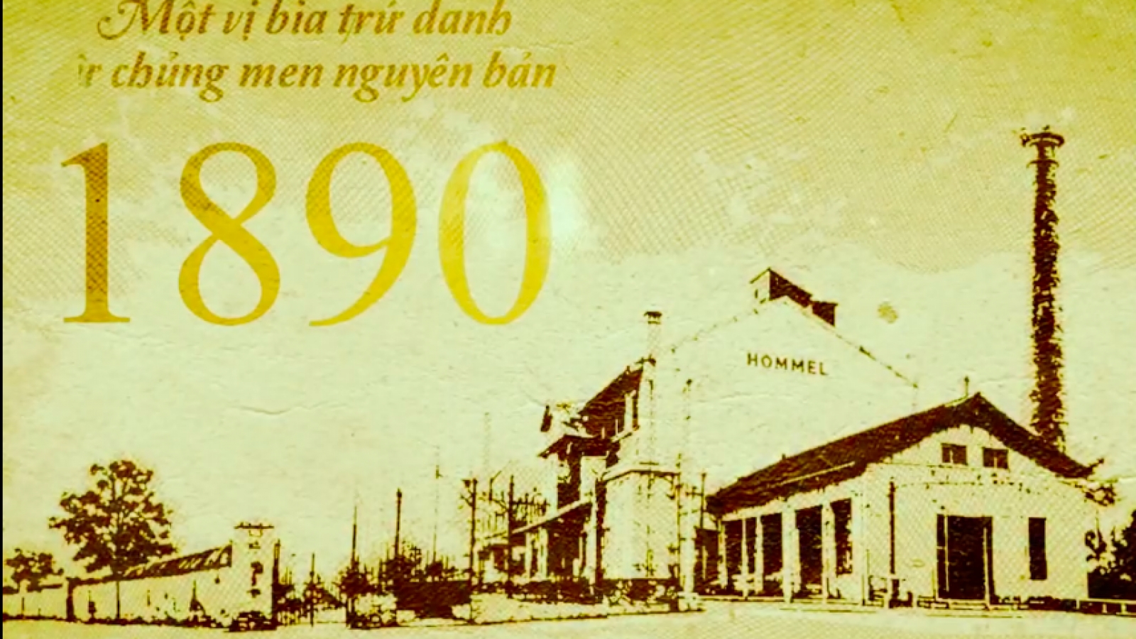 Chủng men nguyên bản - Giữ trọn hương vị trăm năm Bia hơi Hà Nội