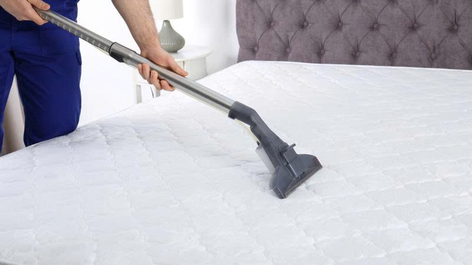 5 cách loại bỏ bọ nhảy trên giường, ngăn tái phát