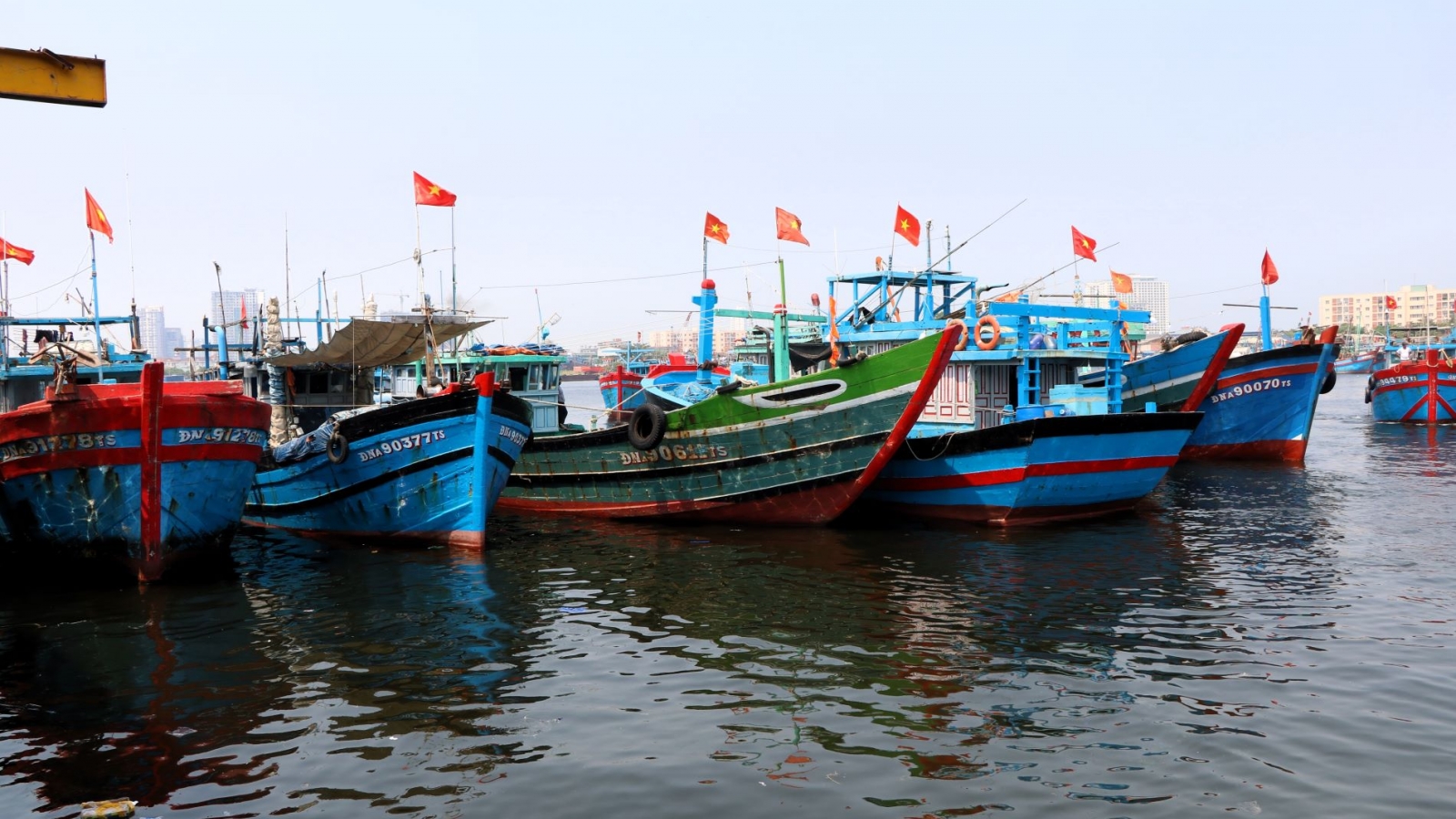 Đà Nẵng tăng cường kiểm soát, xử lý vi phạm khai thác IUU