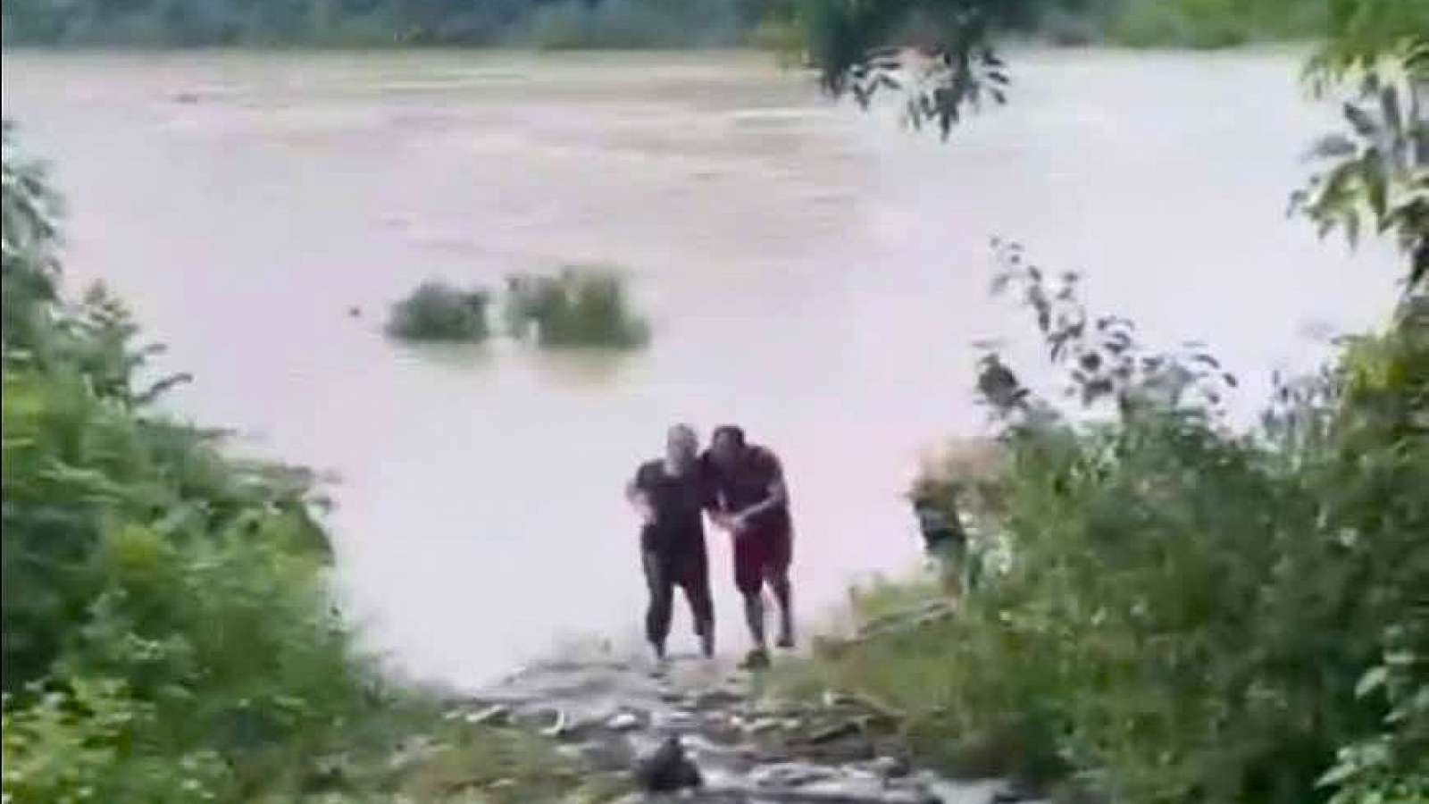 Chủ quán cà phê lao xuống dòng lũ cứu người phụ nữ ở Nghệ An