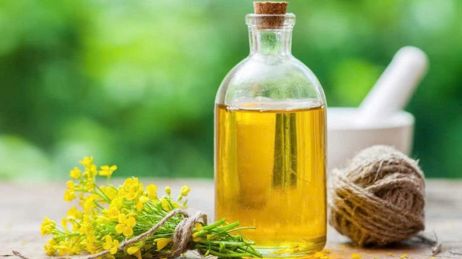 Mỡ máu cao: Nên dùng loại dầu ăn nào để tốt cho tim mạch?