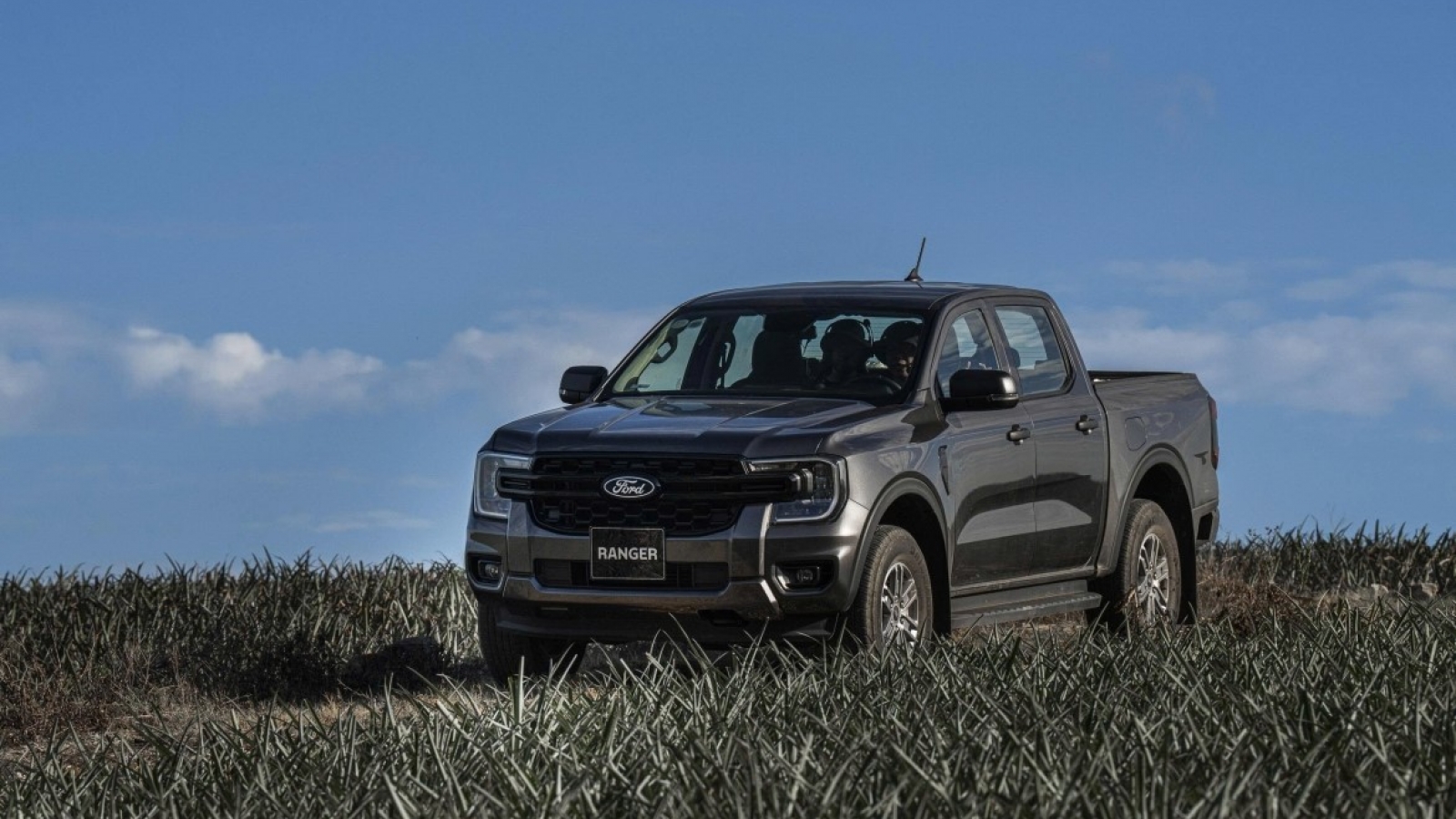 Triệu hồi hơn 1.500 xe Ford Ranger tại Việt Nam do liên quan đến lỗi túi khí rèm