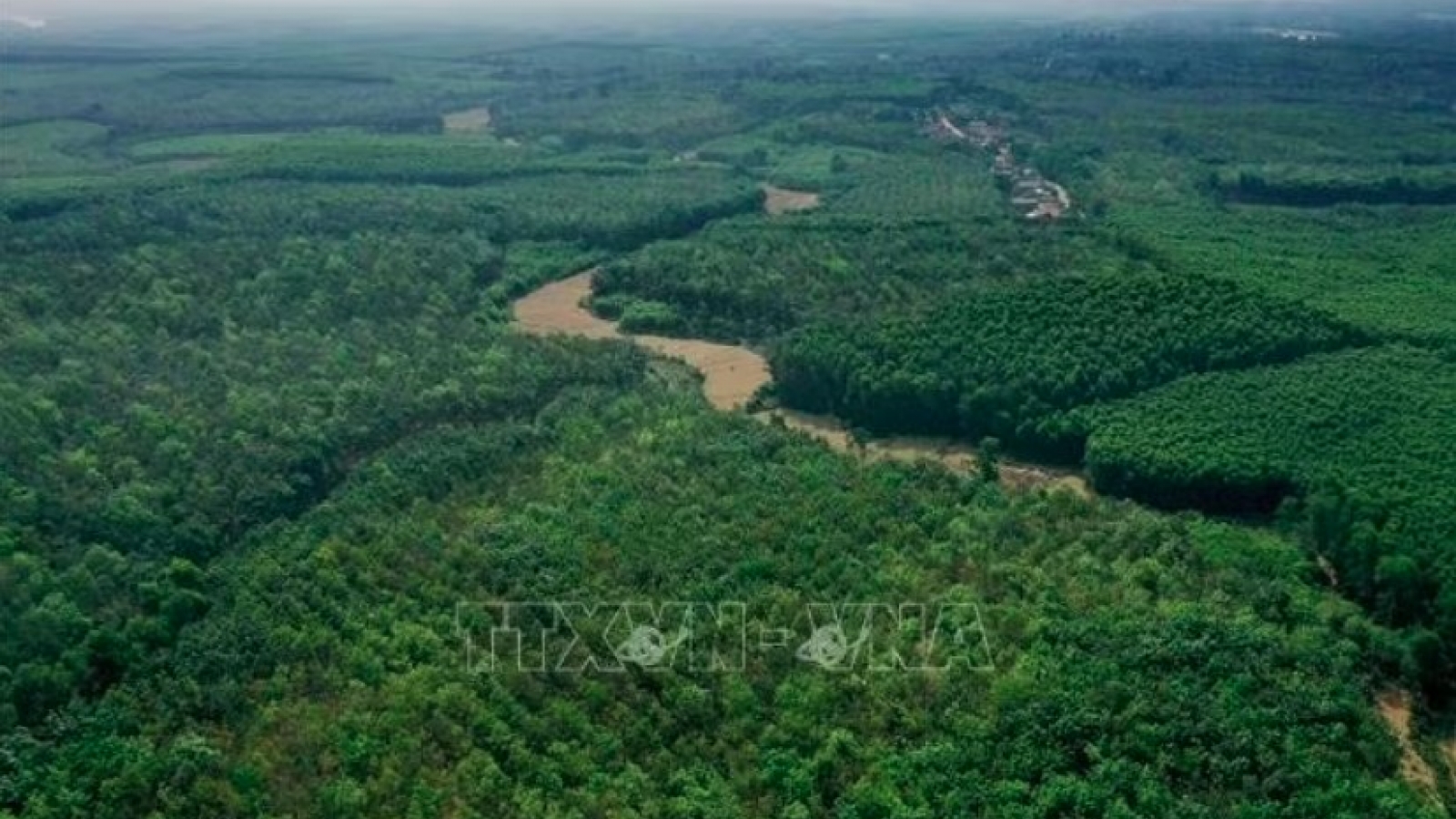 Vietnam eyes entry into US$40-billion Southeast Asian CCS market: experts