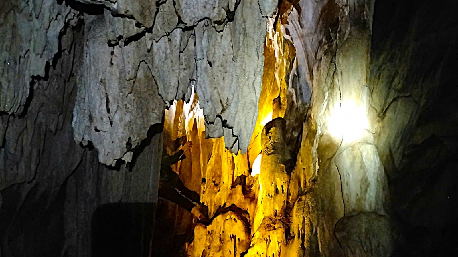 Phát hiện hang động nguyên sơ giữa rừng nguyên sinh ở Nghệ An