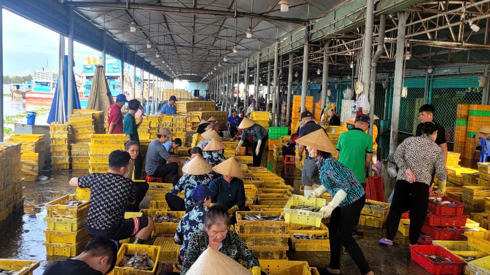 Đồng Tháp nhộn nhịp những chuyến tàu về từ biển khơi