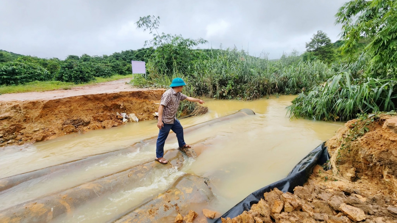 Lâm Đồng khẩn trương ứng phó mưa lũ, không để người dân thiếu đói