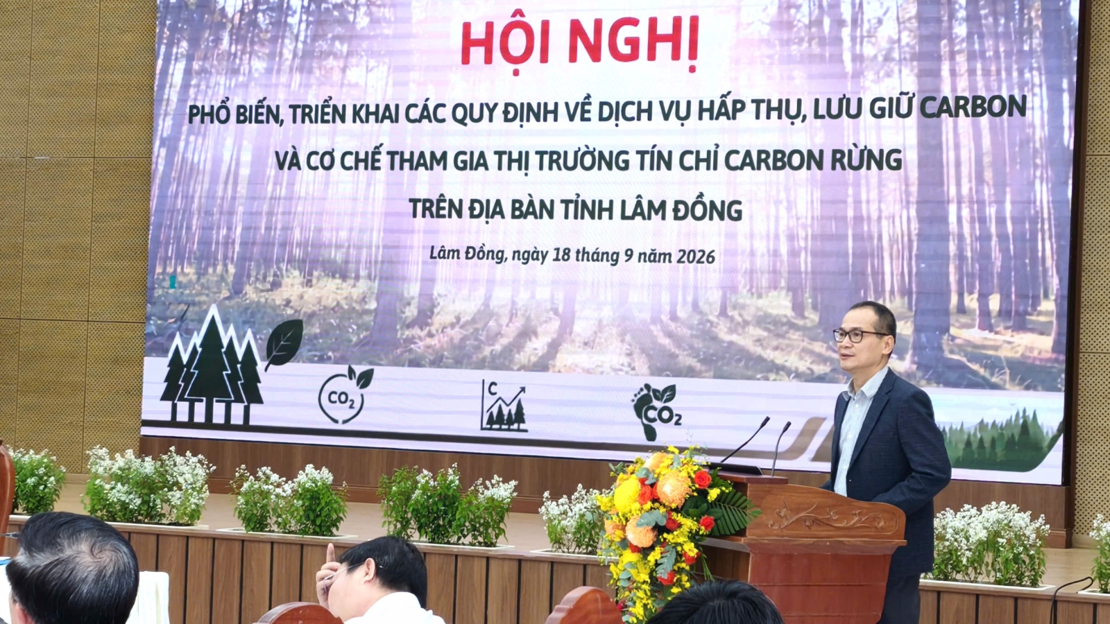 Lâm Đồng triển khai các quy định tham gia thị trường tín chỉ carbon rừng