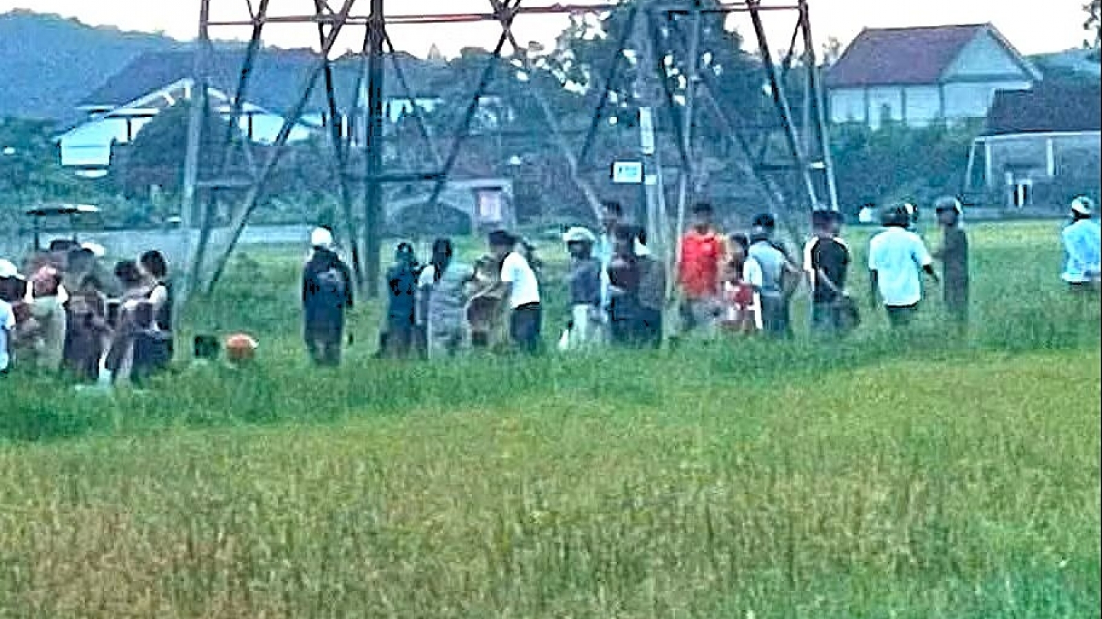 Bị phóng điện, người đàn ông lái máy gặt lúa ở Nghệ An tử vong