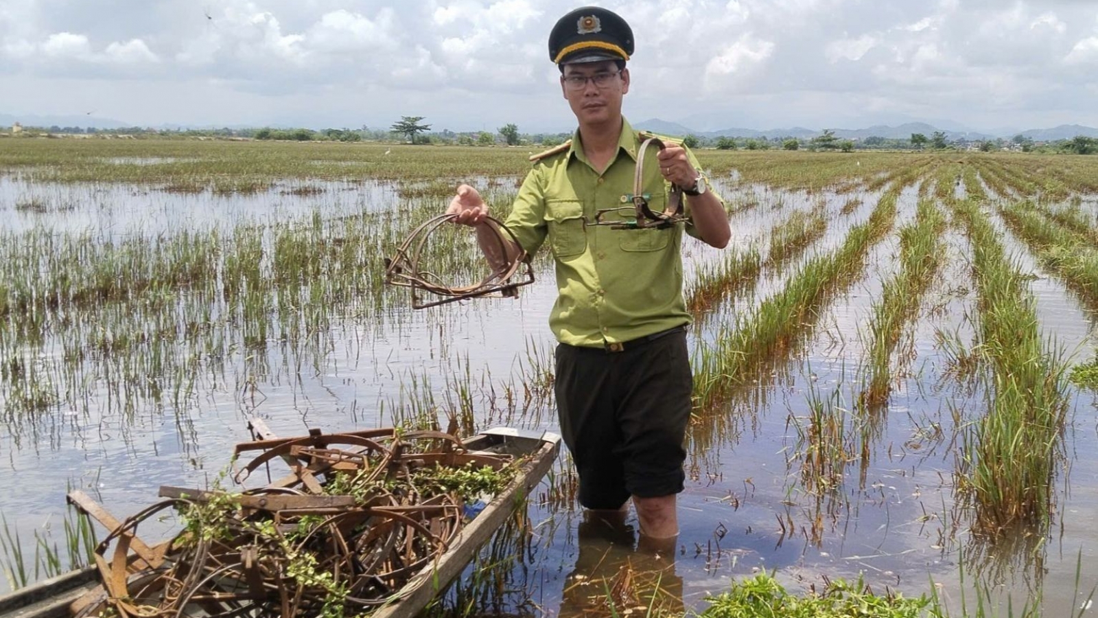 Tháo dỡ bẫy, ngăn chặn nạn săn bắt chim trời