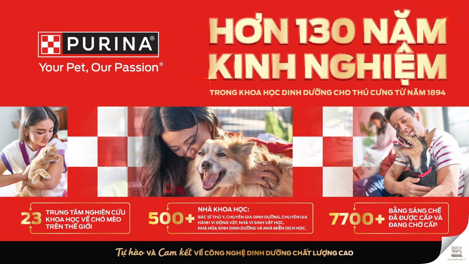 Các dấu hiệu đơn giản giúp đánh giá sức khỏe của mèo cưng