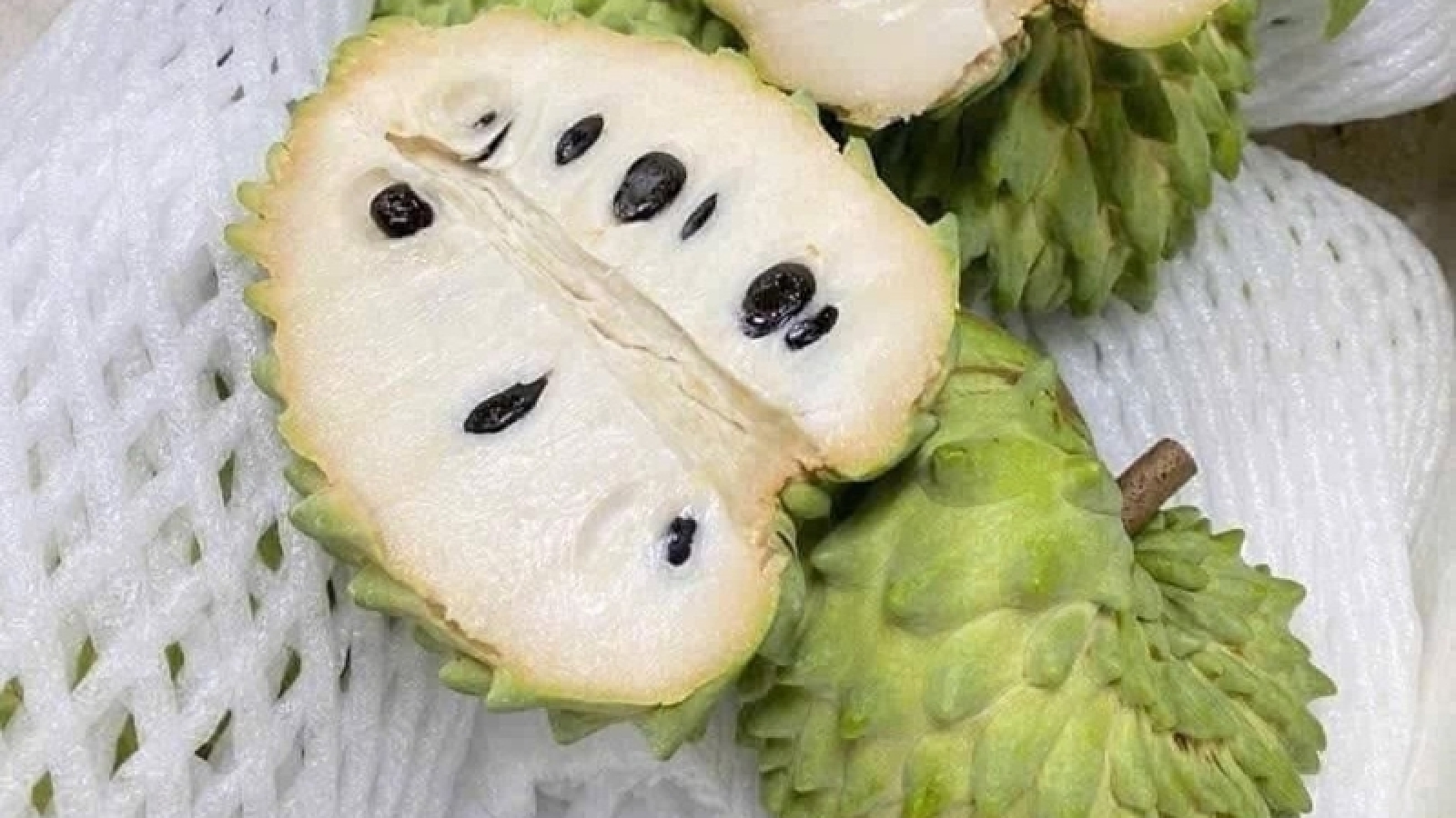Na sầu riêng có gì đặc biệt mà được nhiều người săn tìm?