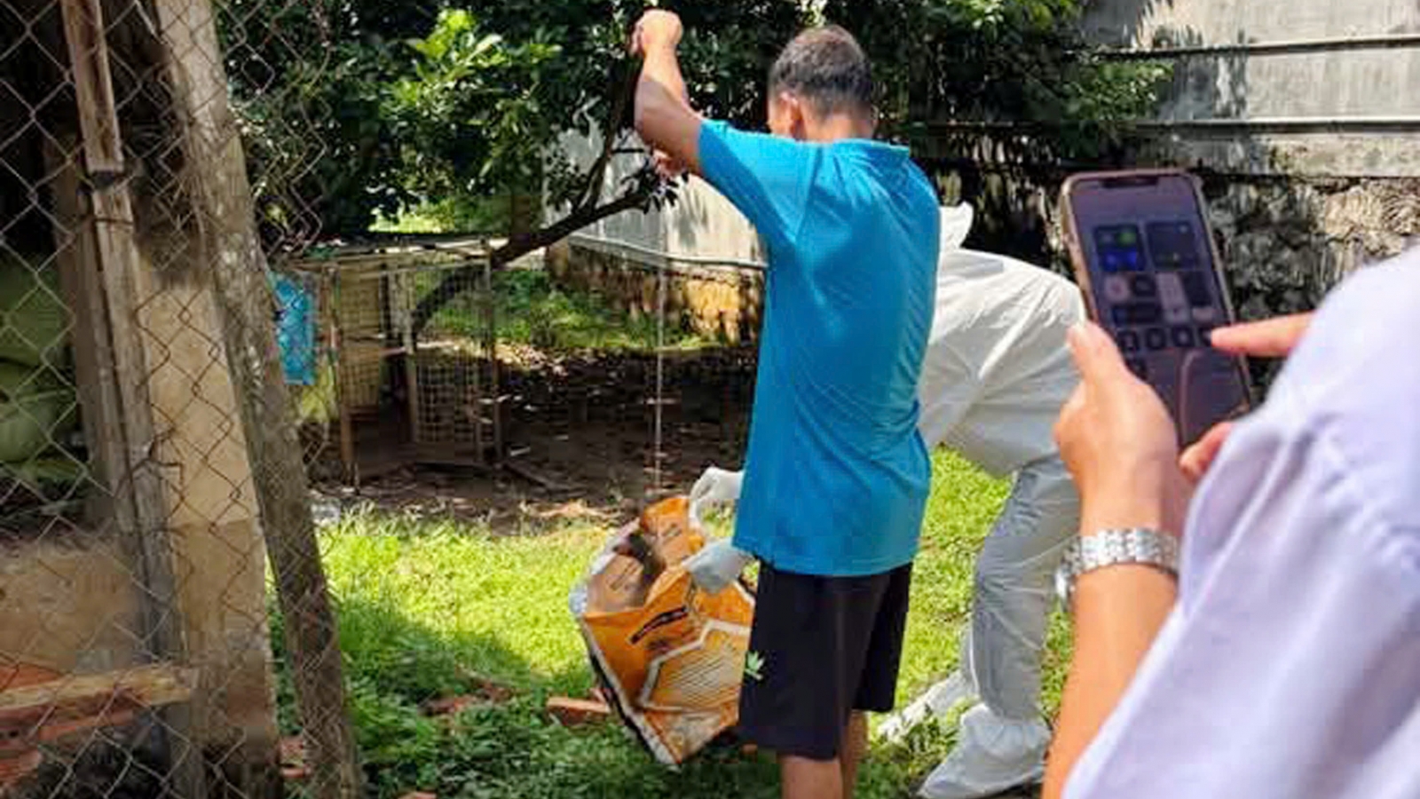 Chủ động phòng bệnh dại cho 4 người bị chó dại cắn ở Đắk Lắk
