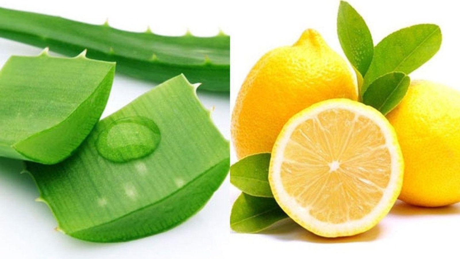 Nha đam với chanh có thực sự tốt? 5 lợi ích và điều cần lưu ý