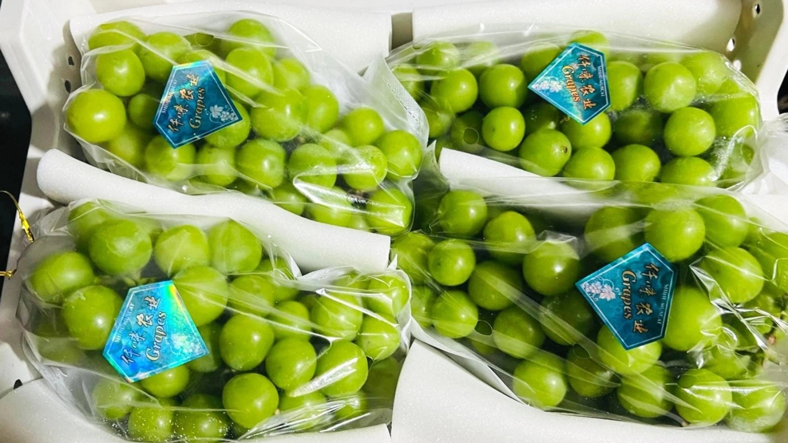 Từng có giá nửa triệu/kg, nho mẫu đơn Trung Quốc nay siêu rẻ
