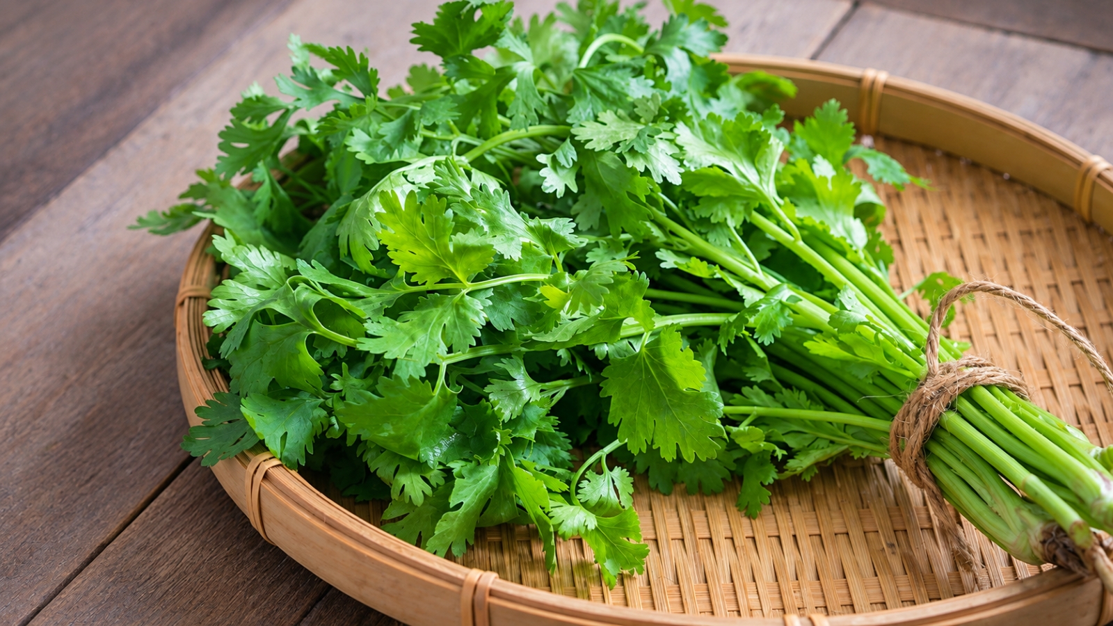 Cây thuốc giá rẻ vừa làm gia vị, vừa bổ dưỡng từ trong ra ngoài