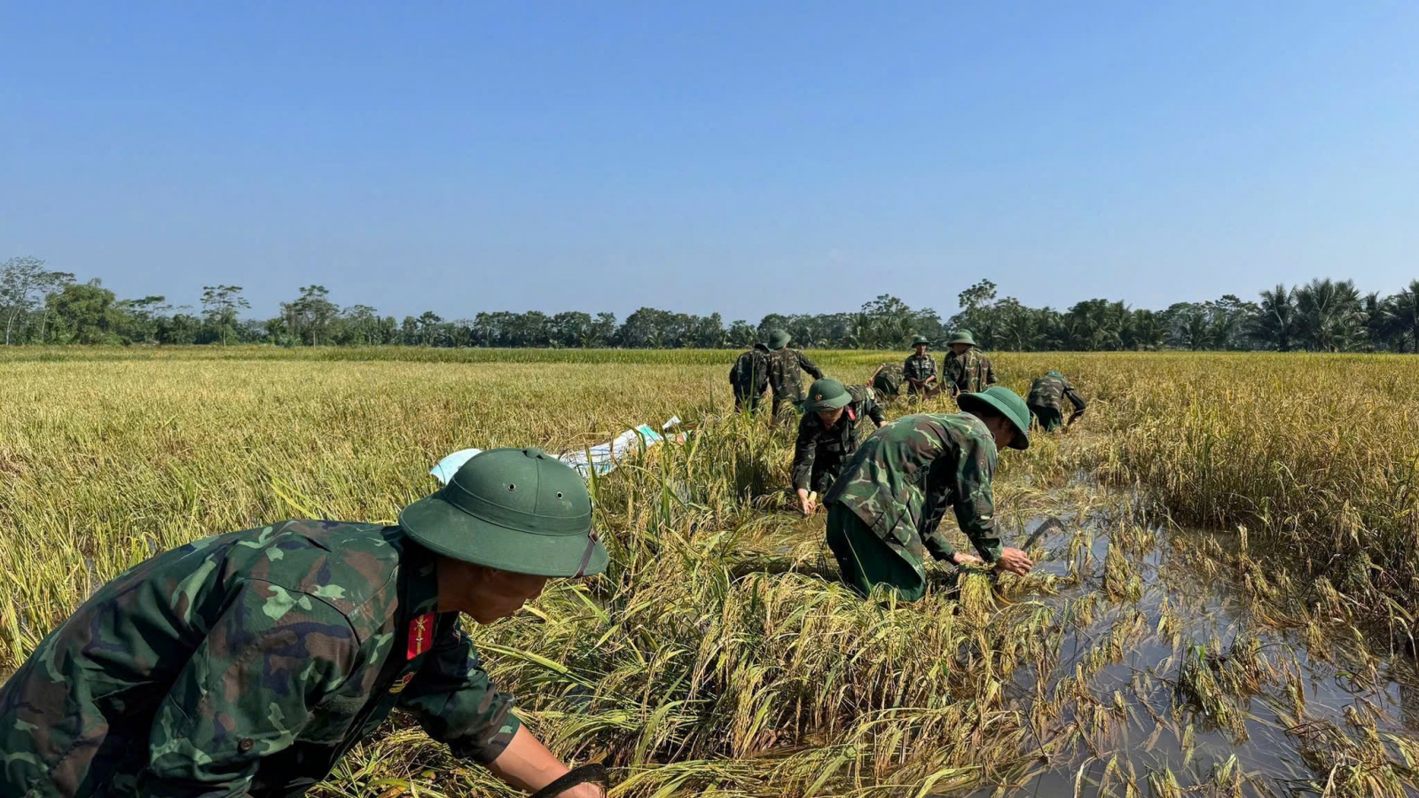 Khẩn trương khắc phục hậu quả vùng rốn lũ Kim Tân (Thanh Hóa)