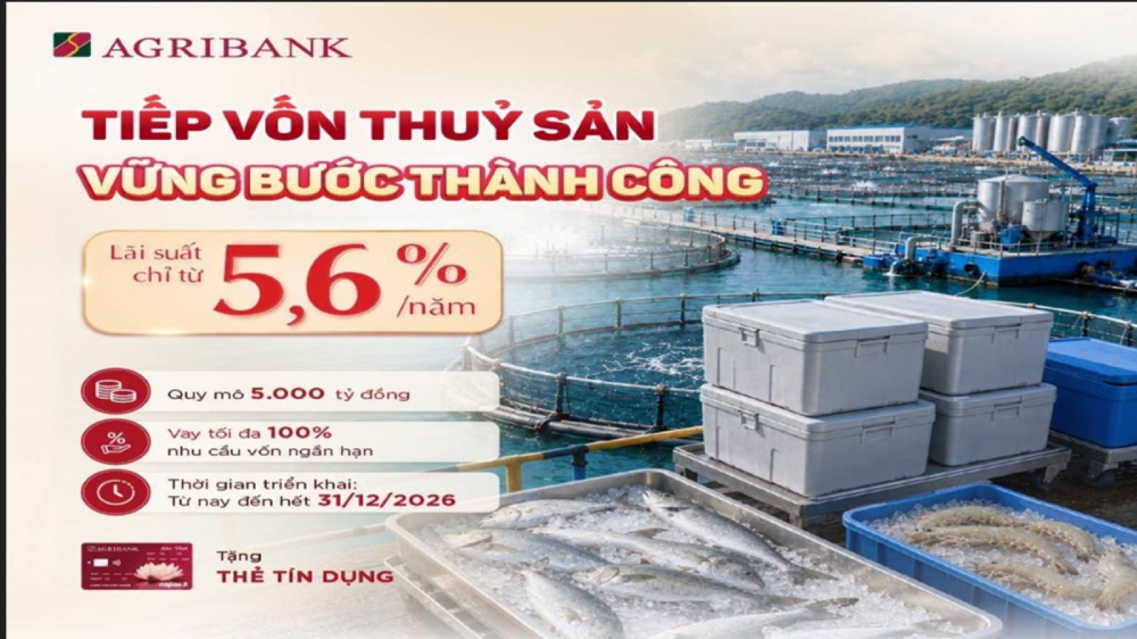 Agribank Quảng Ngãi dành gần 14.000 tỷ đồng cho vay tam nông, đạt 85% tổng dư nợ