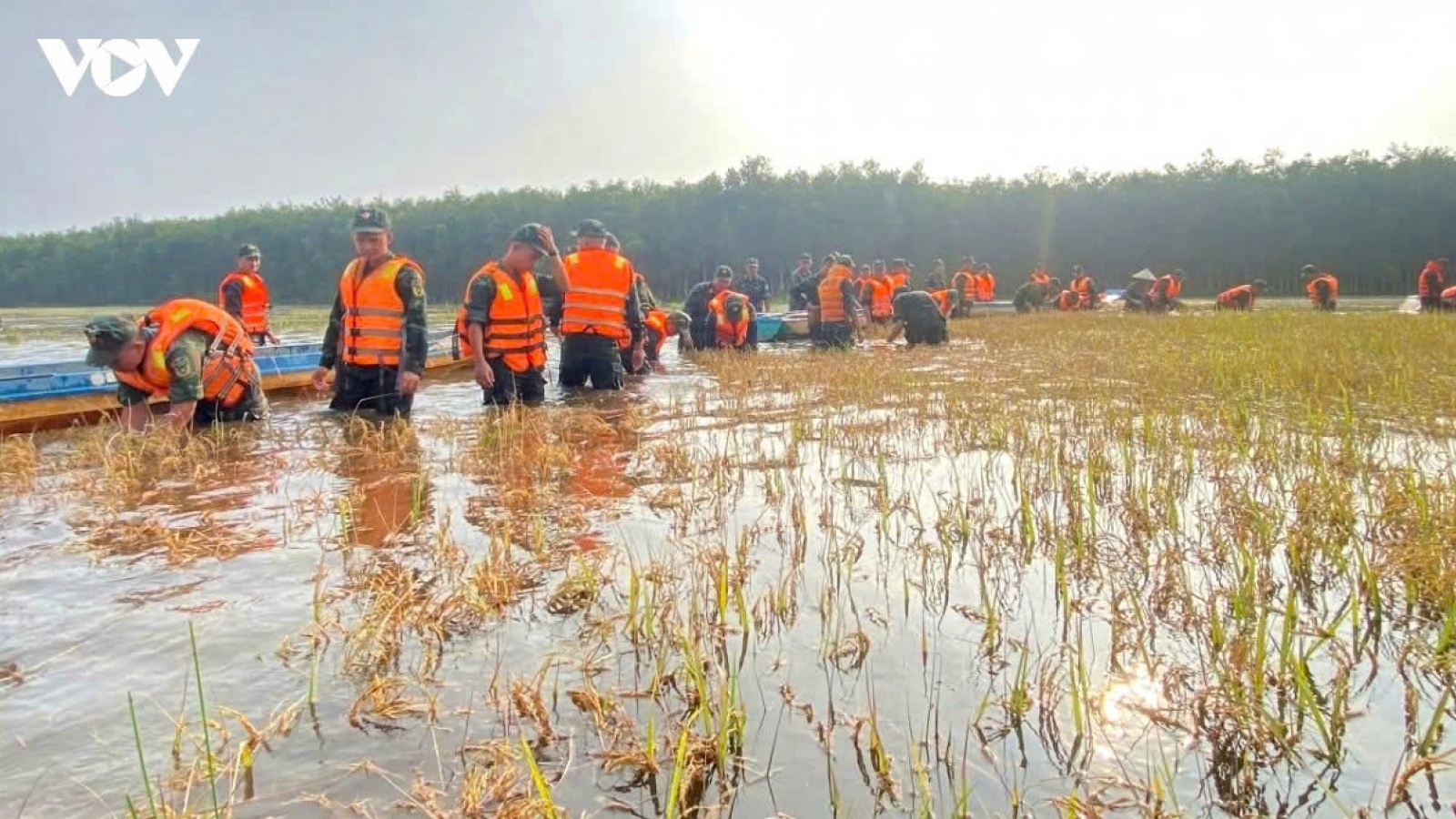 Central Vietnam floods persist as tropical depression dissipates