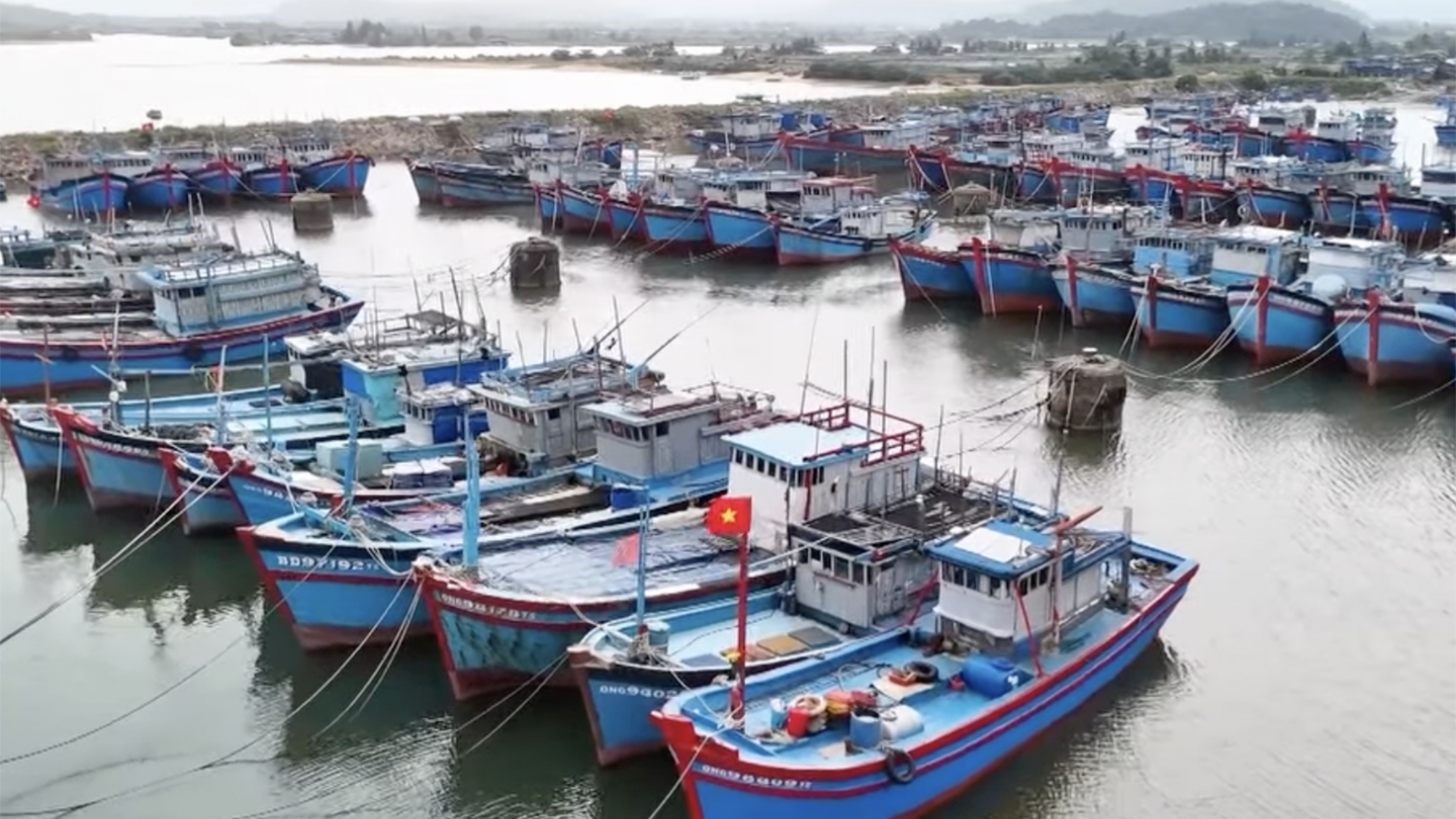 Quảng Ngãi không để tàu cá không đủ điều kiện ra khơi