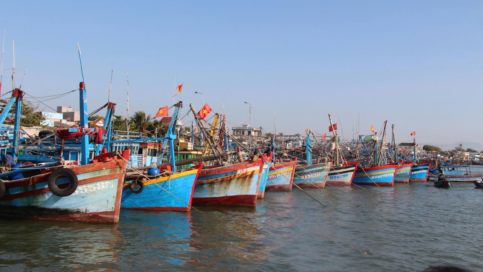 Thành phố Hồ Chí Minh nỗ lực tháo gỡ thẻ vàng của Ủy ban Châu Âu (EC)
