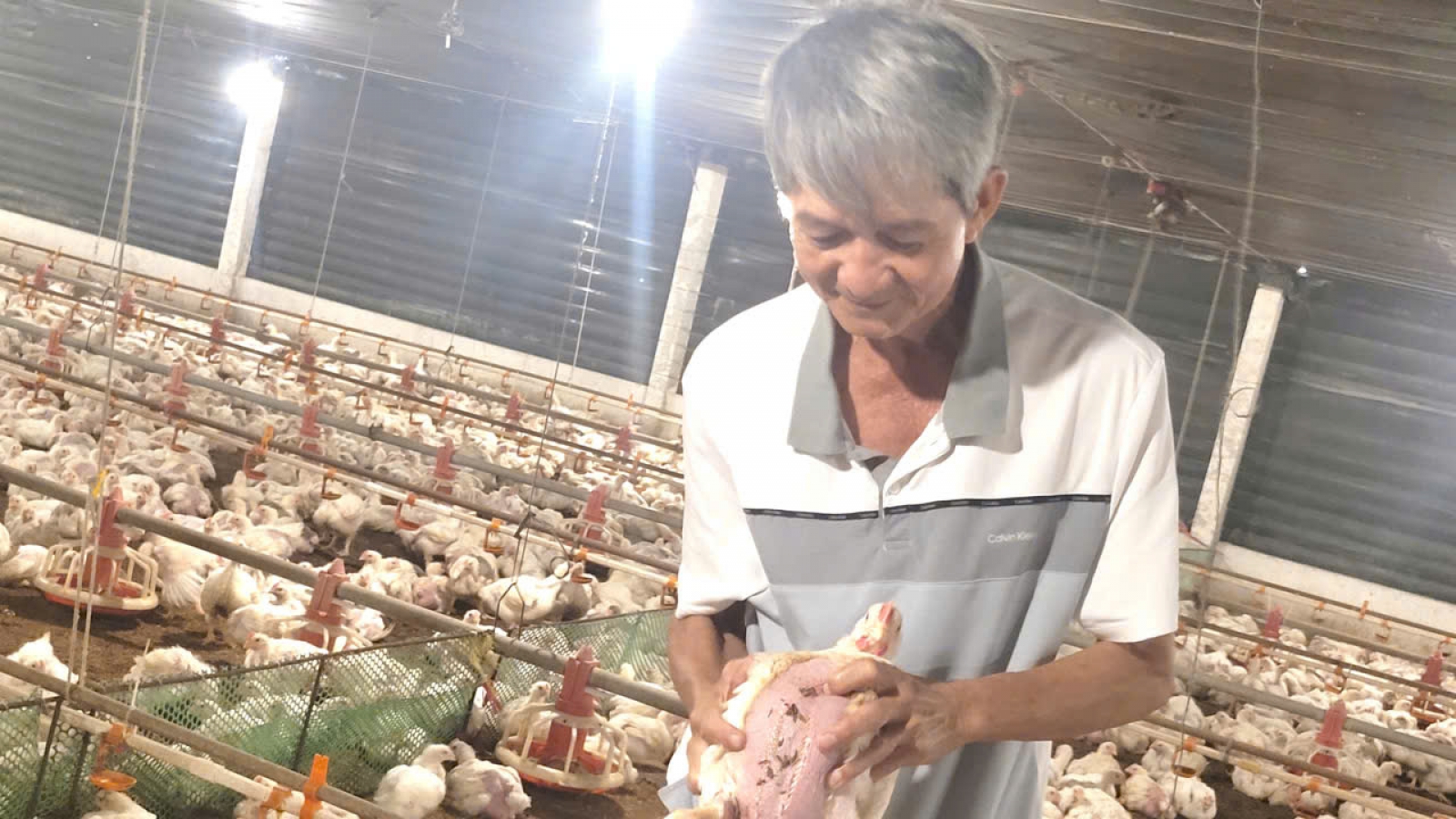 Một nông dân tỉnh Đồng Tháp làm giàu từ nuôi gà trong "phòng lạnh"