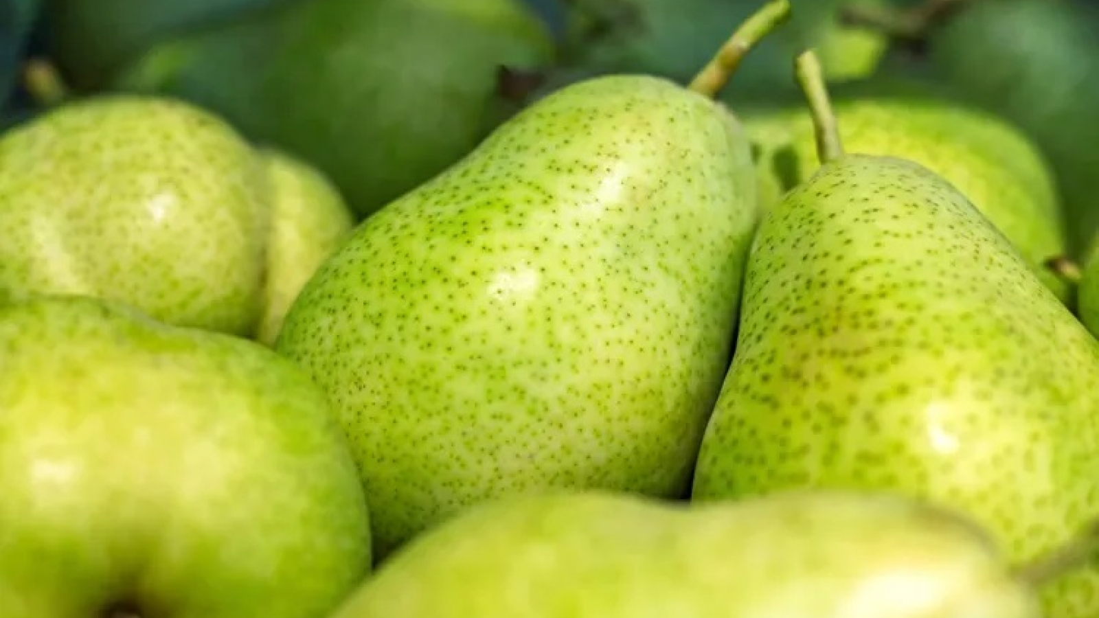 8 thực phẩm giàu chất xơ không kém một quả lê