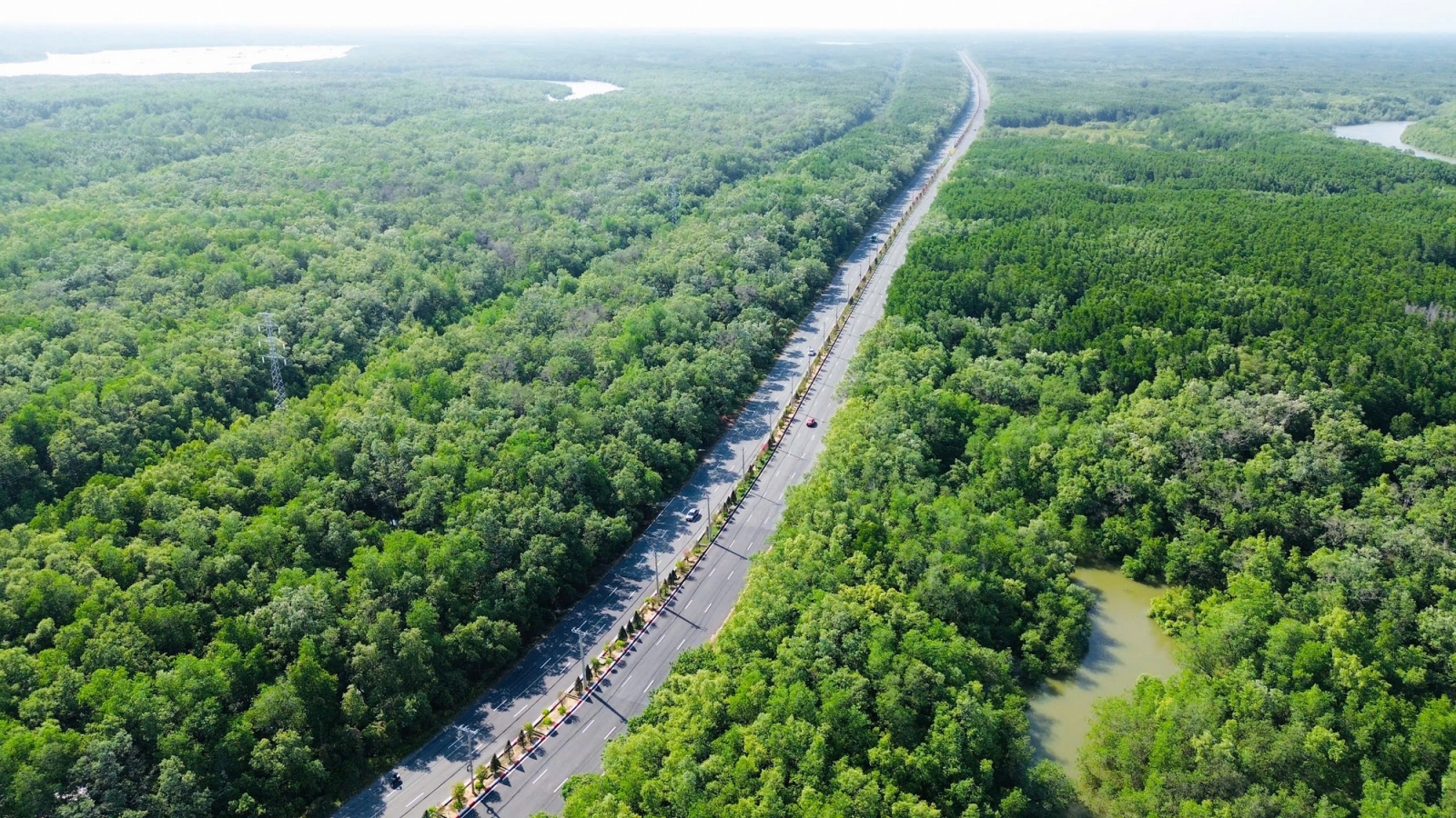 TP.HCM đề xuất chuyển 4,57 ha rừng phòng hộ để làm metro Bến Thành - Cần Giờ