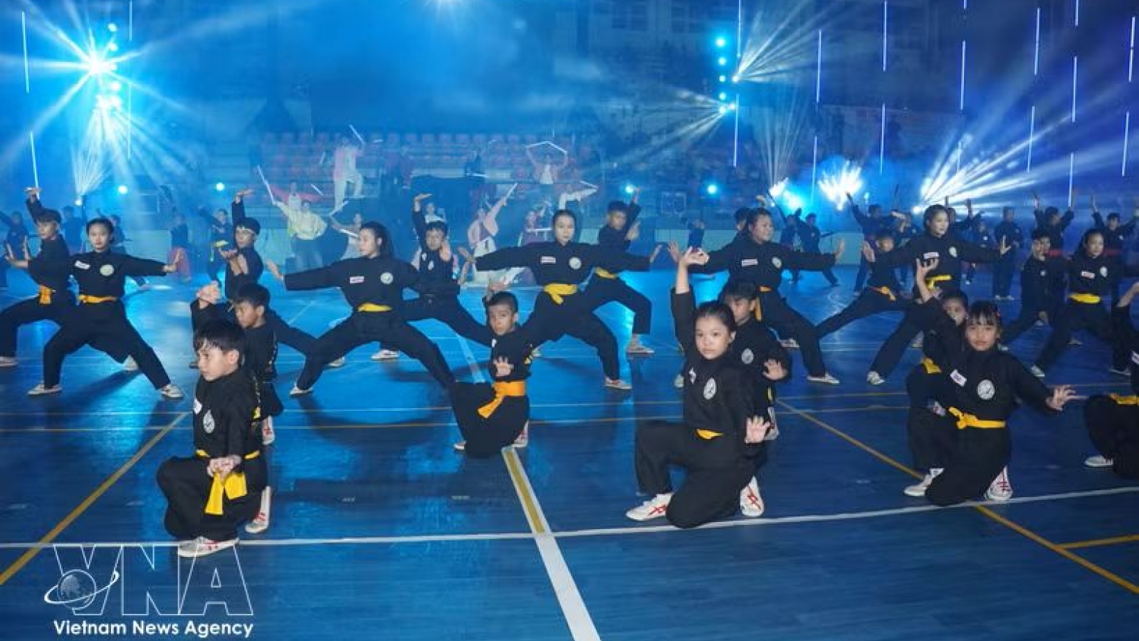 Vietnam’s traditional martial arts showcased at Italy 2026 event