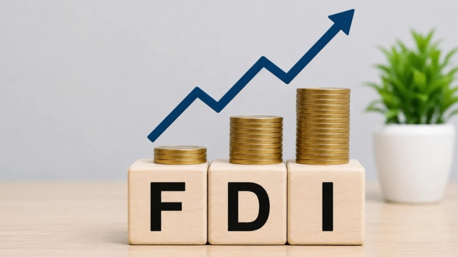 Doanh nghiệp FDI phải đáp ứng điều kiện gì để được cấp giấy phép kinh doanh?