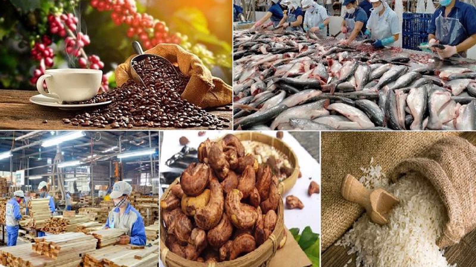 Nông sản đáp ứng tiêu chuẩn để đạt mục tiêu xuất khẩu