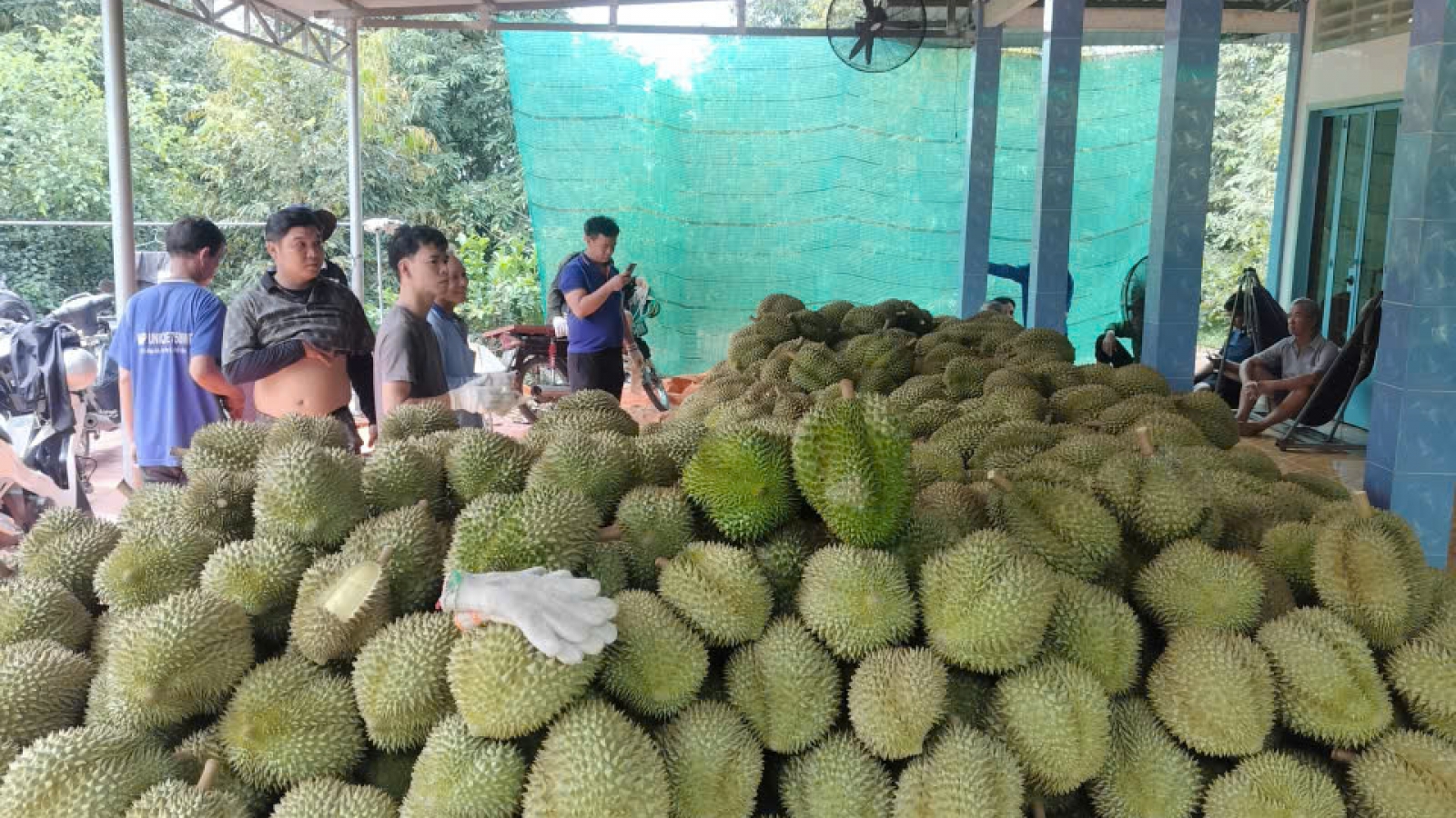 Khu vực phía Nam xuất khẩu nông sản đạt hơn 29,43 tỷ USD