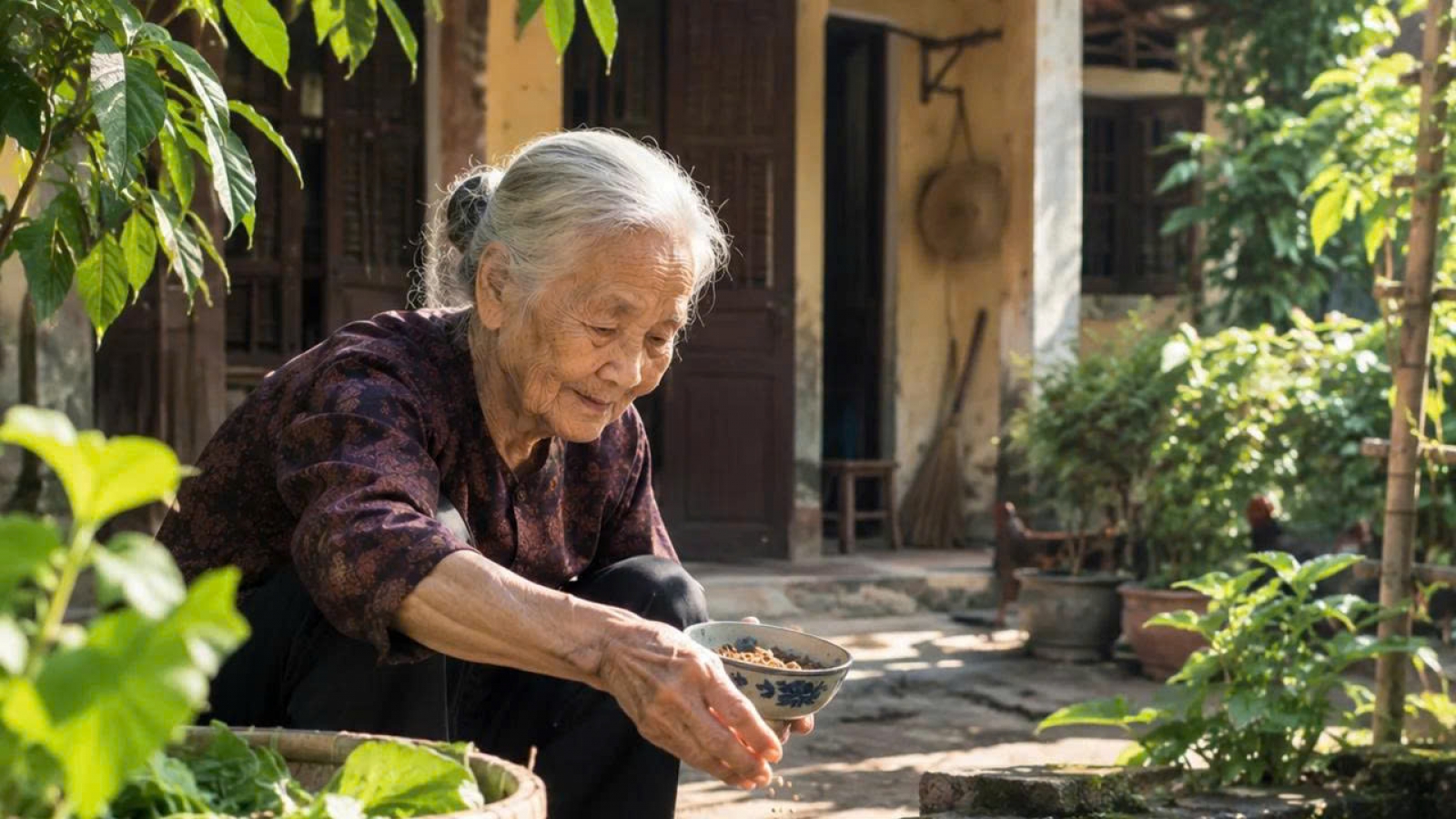 Quyền được quét nhà