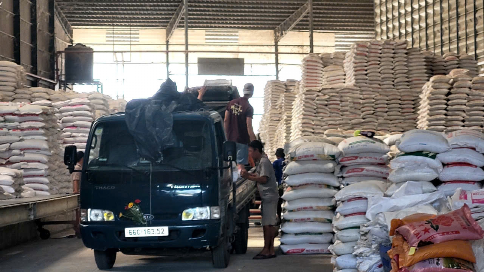Nhiều doanh nghiệp kinh doanh, xay xát lúa gạo ở Đồng Tháp có nguy cơ đóng cửa