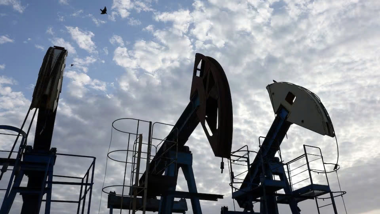 Giá xăng dầu hôm nay 30/10: Giá dầu Brent ở mức 114,88 USD/thùng