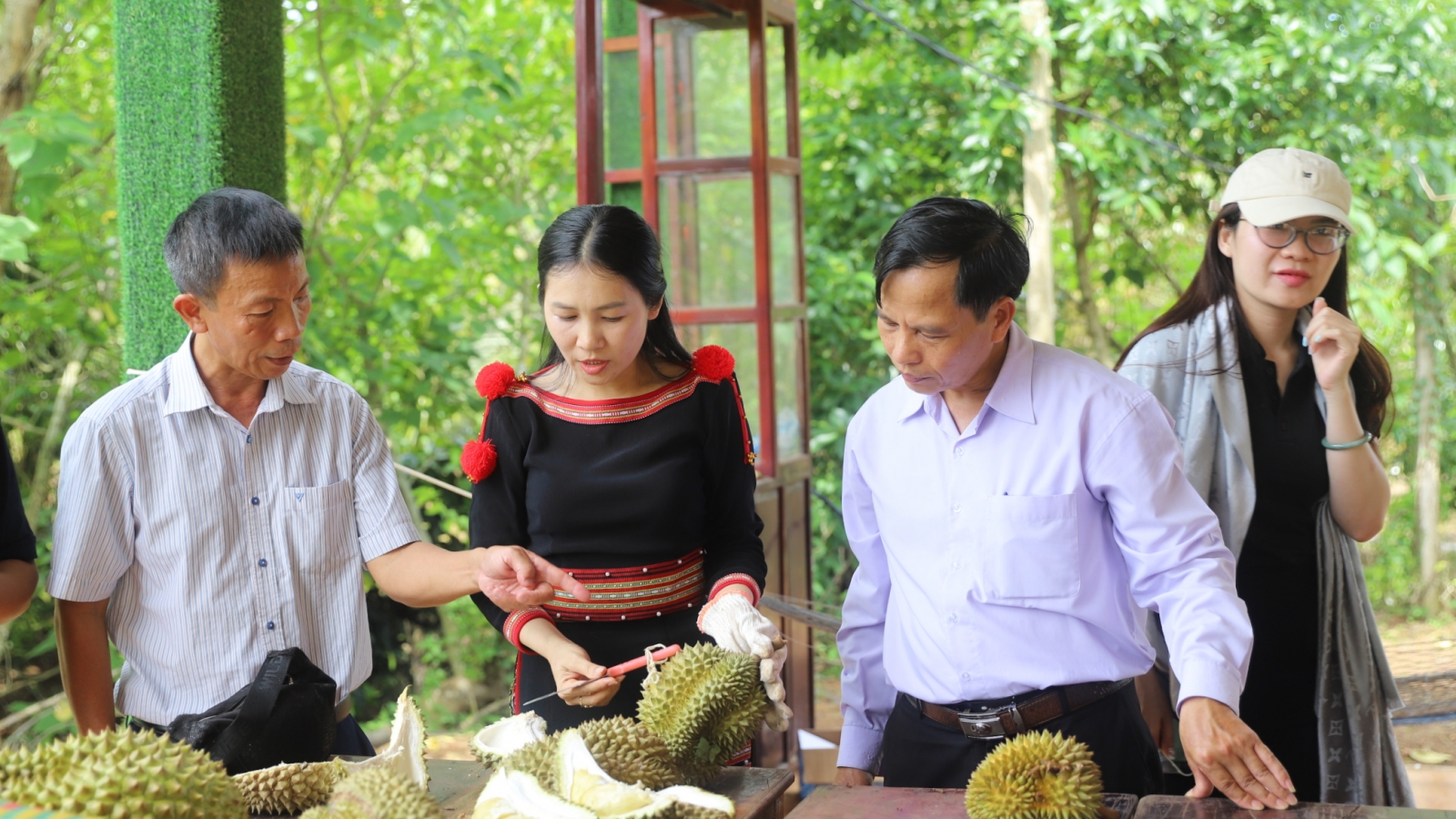 Lễ hội sầu riêng 2026 mang về gần 1.300 tỷ đồng cho Đắk Lắk