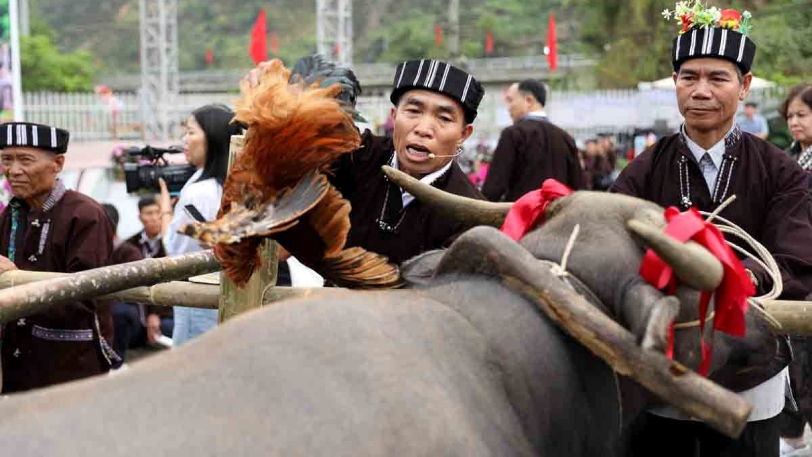Su Khon Khoai: The Lu people’s ritual to honour the buffalo