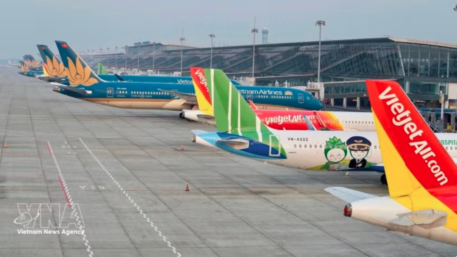 Domestic airlines urged to resume, expand domestic air routes by year-end