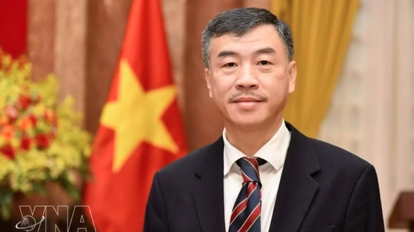 Great solidarity festival to strengthen cohesion among OVs in Europe: ambassador
