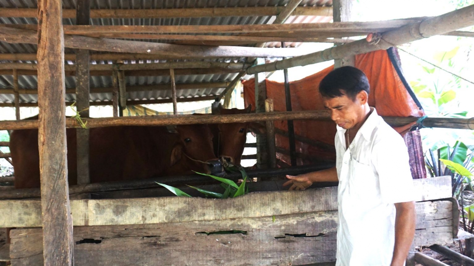 Tạo sinh kế giúp đồng bào Cơ Tu vươn lên thoát nghèo