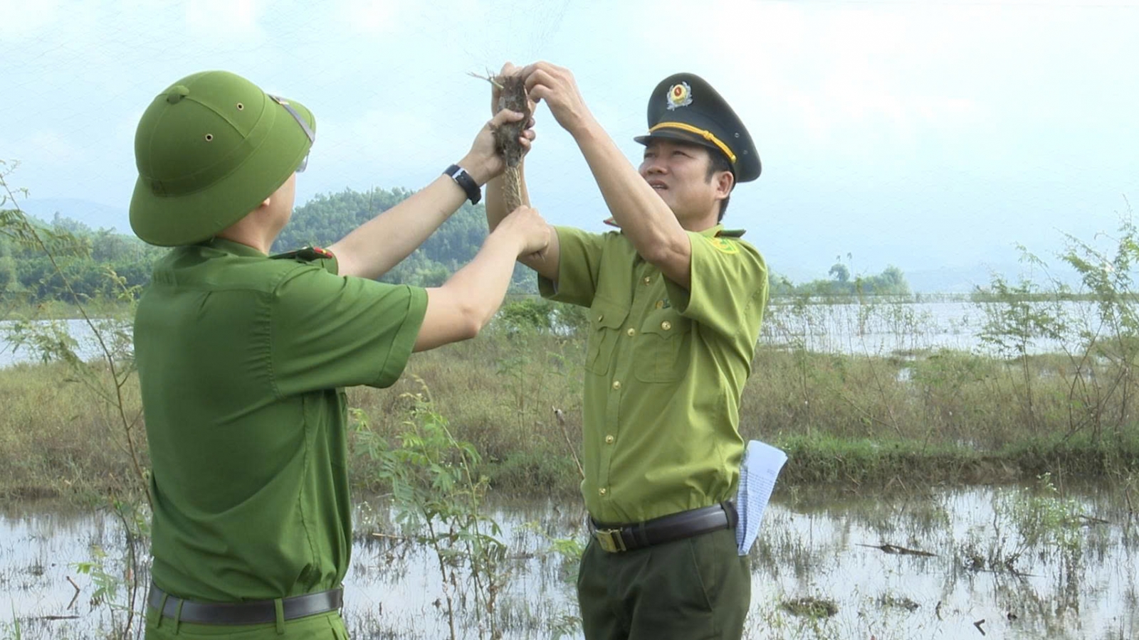 Tháo dỡ bẫy, bảo vệ đàn chim về lòng hồ Núi Cốc, Thái Nguyên