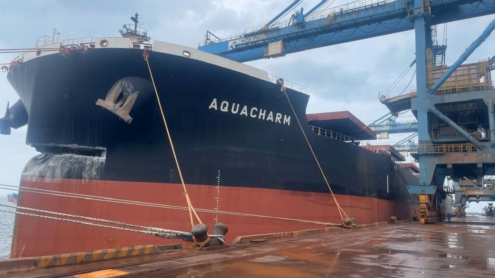 Bulk carrier Aquacharm detained after hitting Dung Quat Port wharf