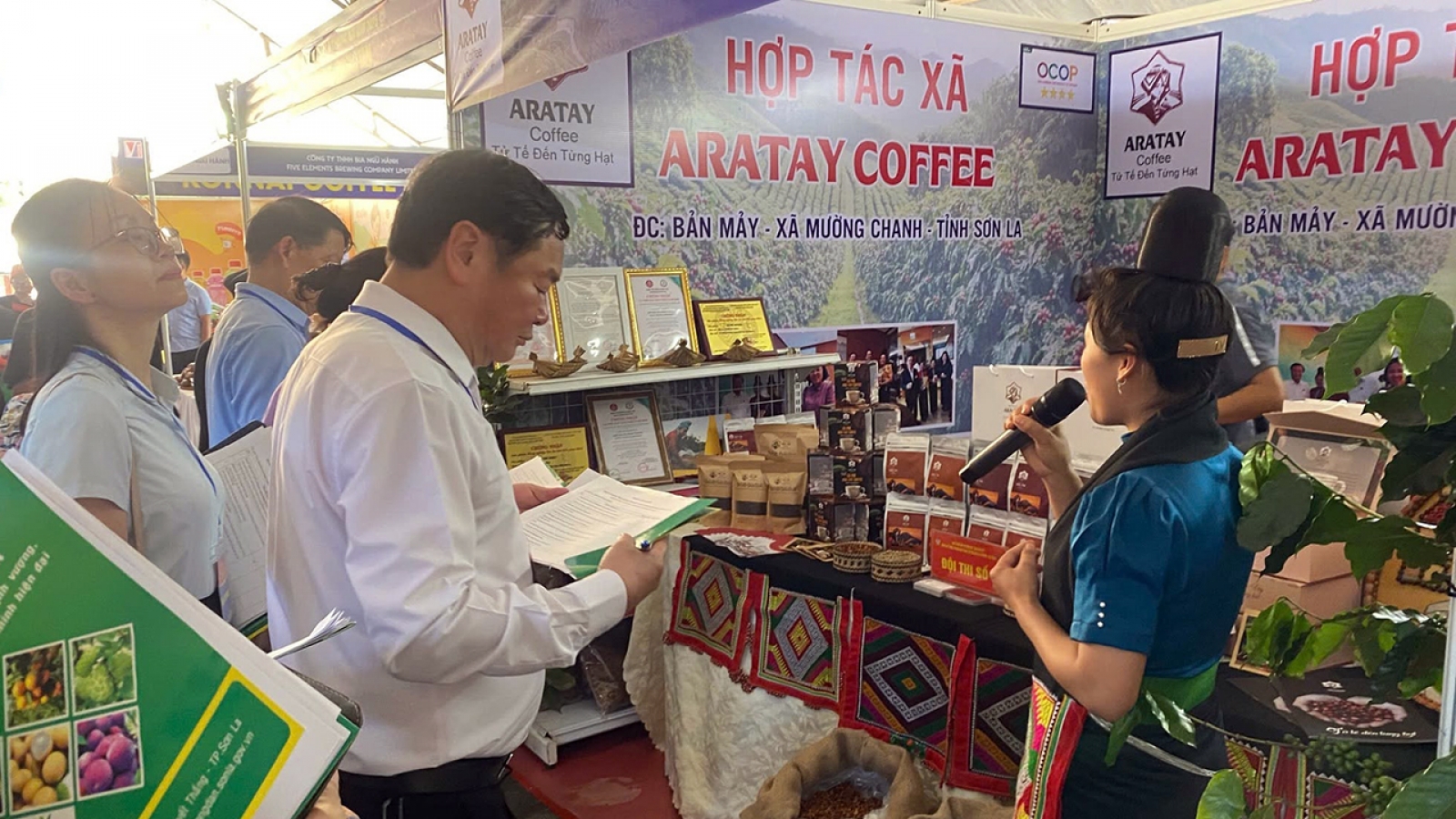 Giá cà phê hôm nay 26/10: Cà phê thế giới duy trì mạch giảm